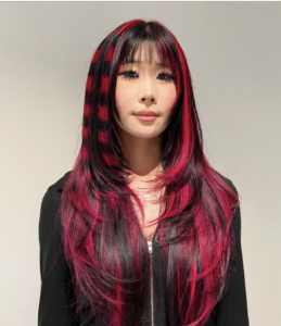 High-contrast red and black raccoon tail stripes on a graphic face framing.