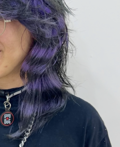 Staggered purple and black horizontal hair bands creating a shimmering movement effect on layered hair.